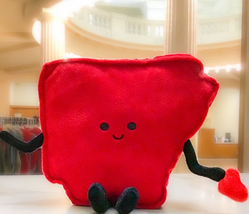 AR Stuffed State Toy
