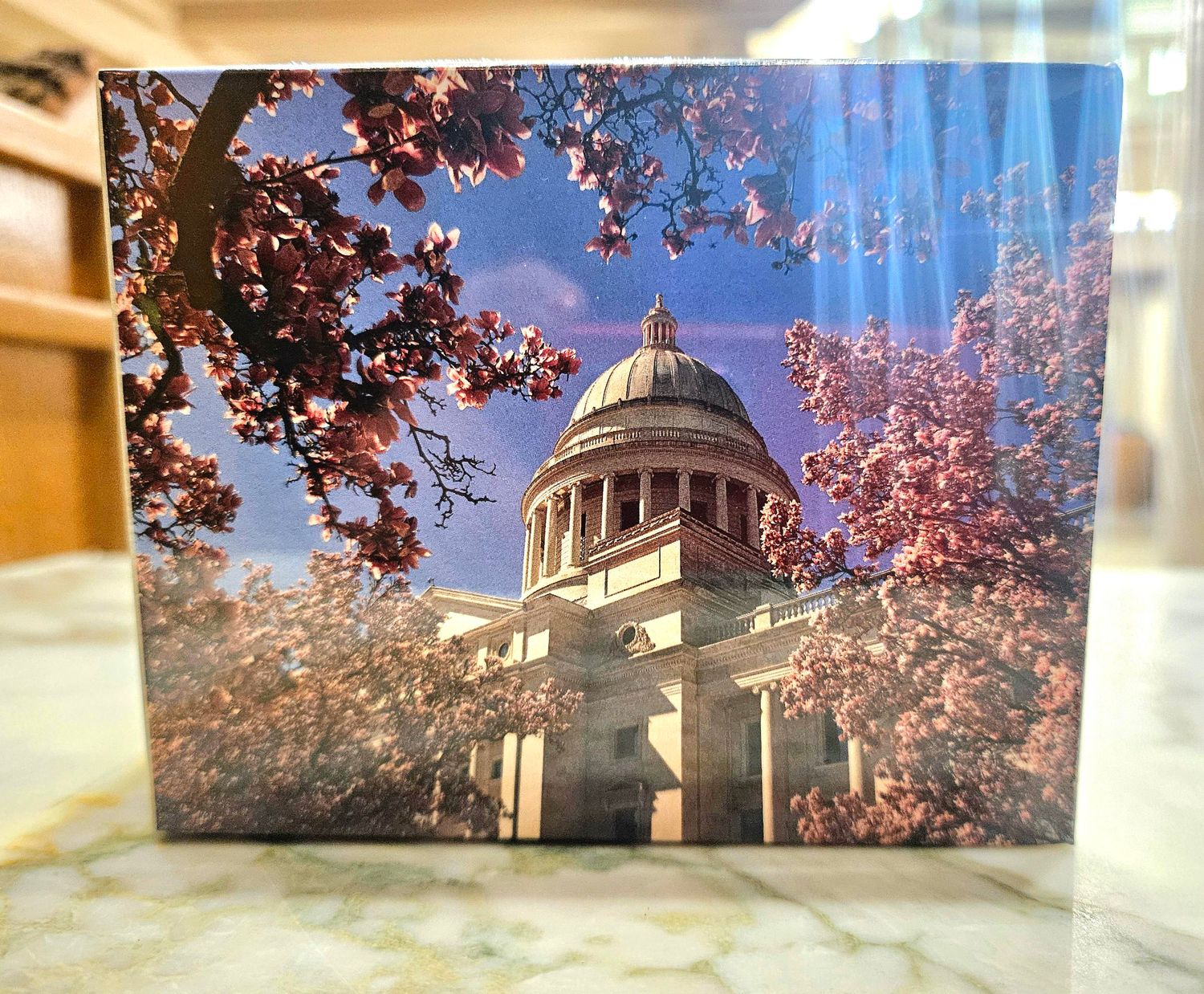 State Capitol Puzzle