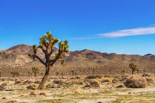 10.24ac Lot in San Bernardino County CA