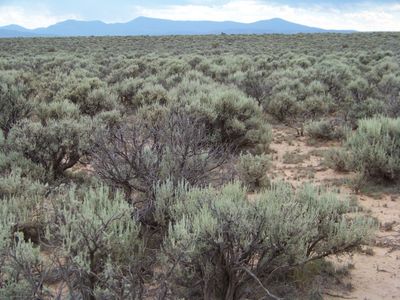 Big 13.83ac Lot in Rio Arriba County NM. Low price for quick sale!! No HOA.