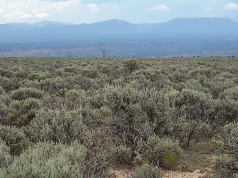 Big 9.24ac Lot in Rio Arriba County NM. Low price for quick sale!! No HOA.