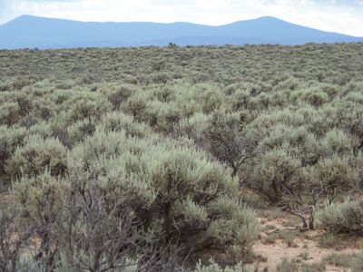 Big 9.24ac Lot in Rio Arriba County NM. Low price for quick sale!! No HOA.
