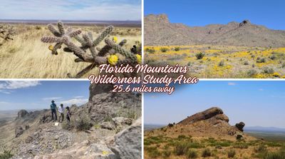 5ac Lot in Luna County NM Low price for quick sale!! No HOA.