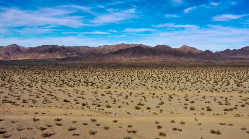 Big 10ac Lot in Luna County NM Low price for quick sale!! No HOA.