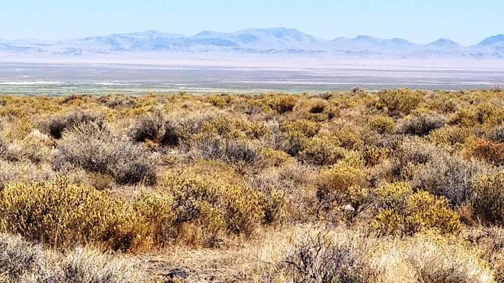 Open Spaces. Camp RV Build. 10 acres Nevada land
