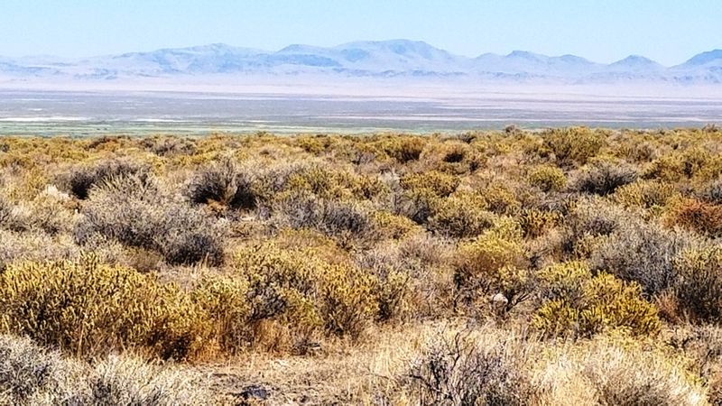 Open Spaces. Camp RV Build. 10 acres Nevada land