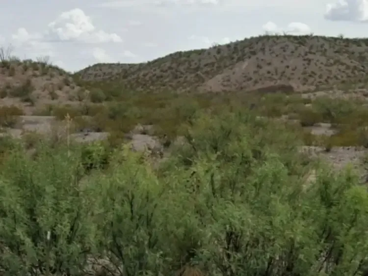 28.75AC Presidio TX Mobiles and modulars allowed