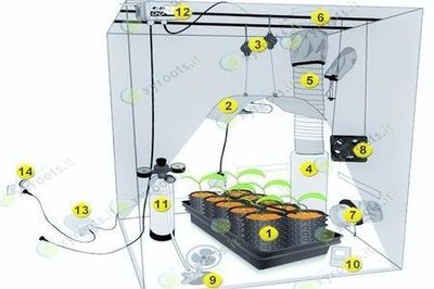 Consulenza su progettazione/installazione/burocrazia di impianti indoor per piante di Cannabis. (prezzo a partire da:)