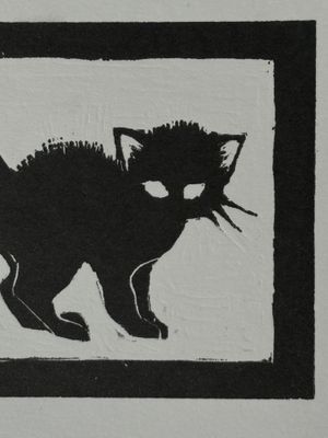 black cat