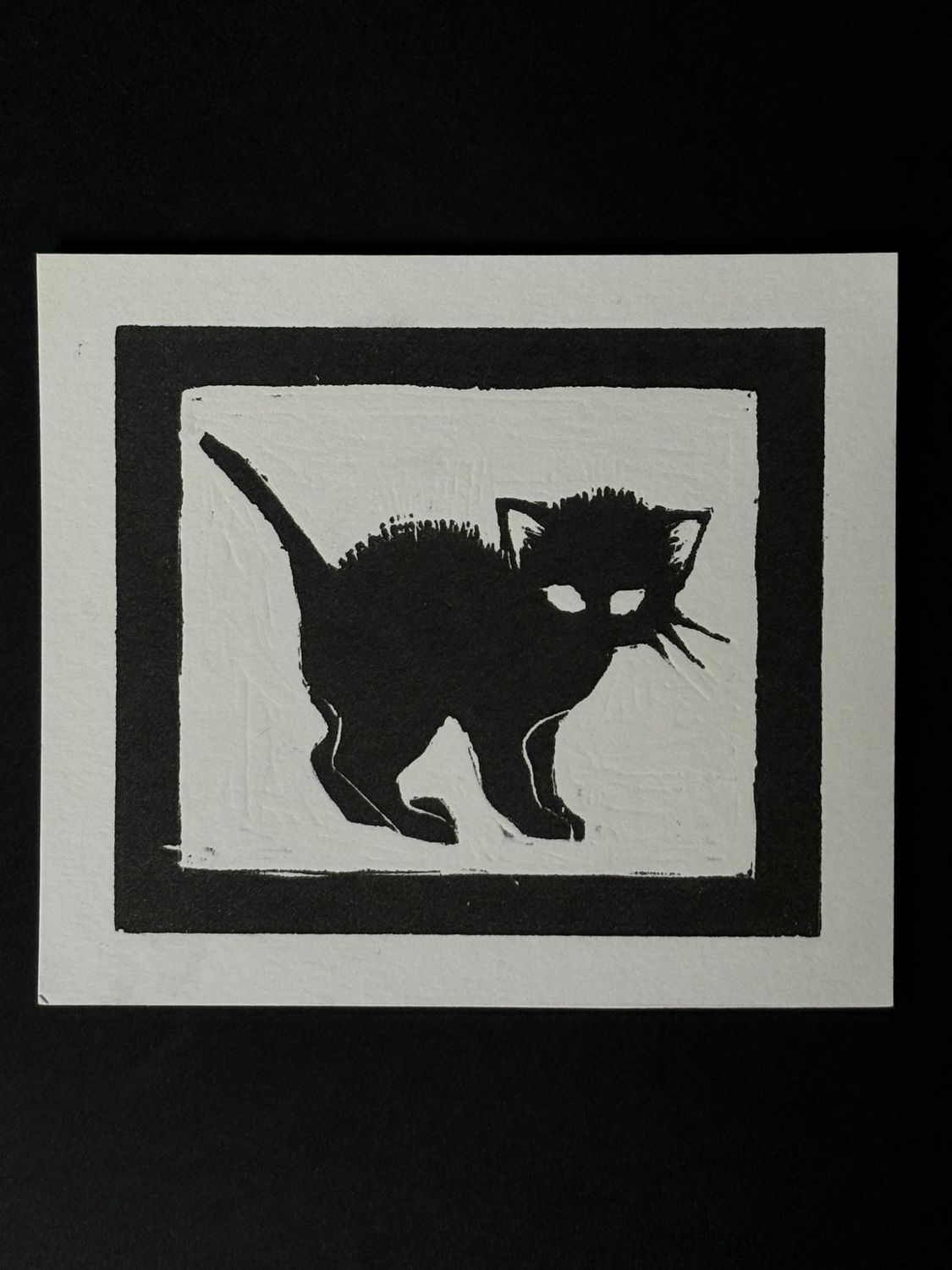 black cat