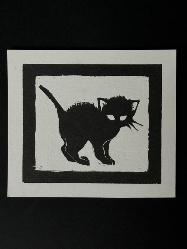 black cat