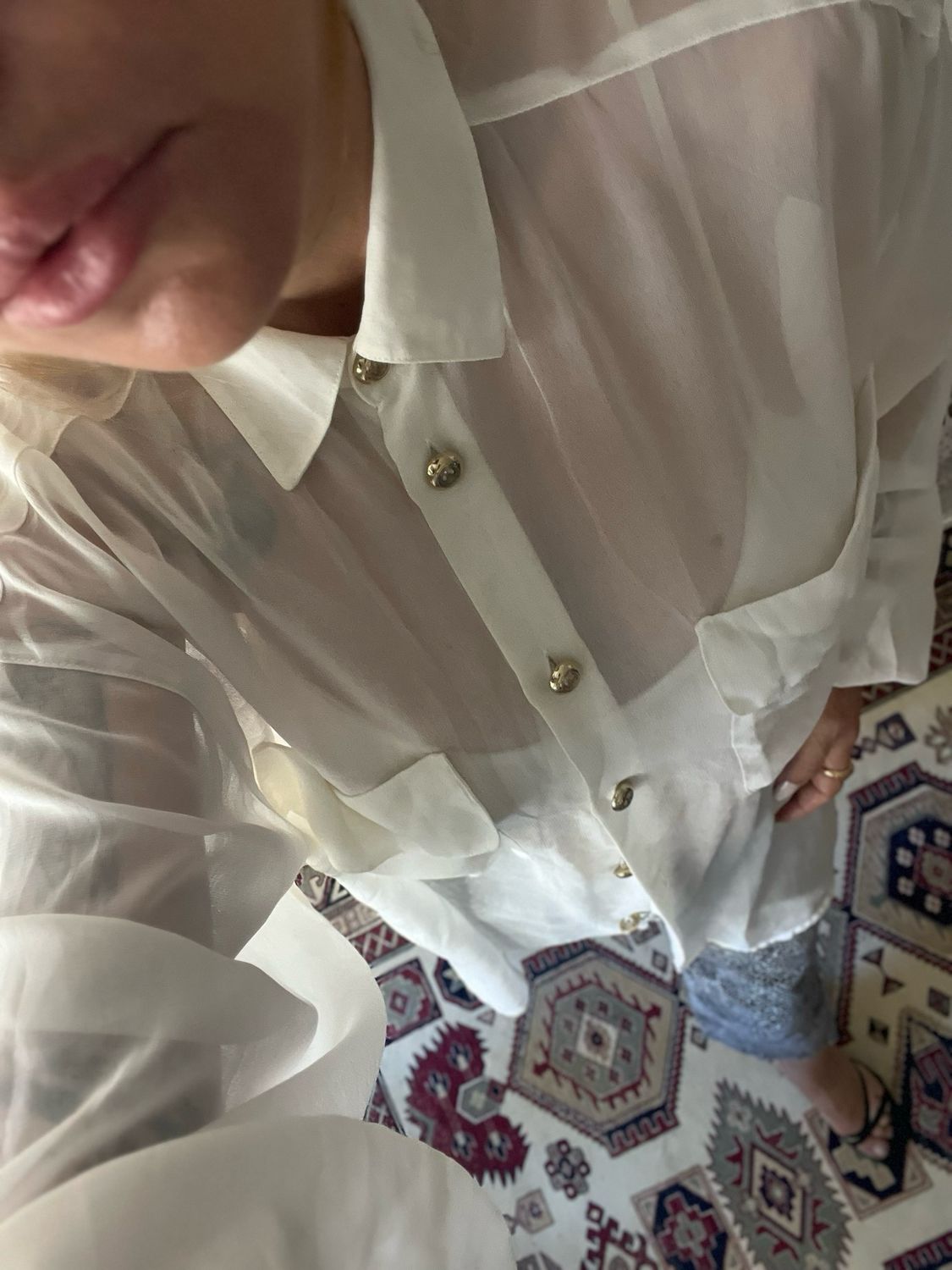 Vintage Sheer Blouse