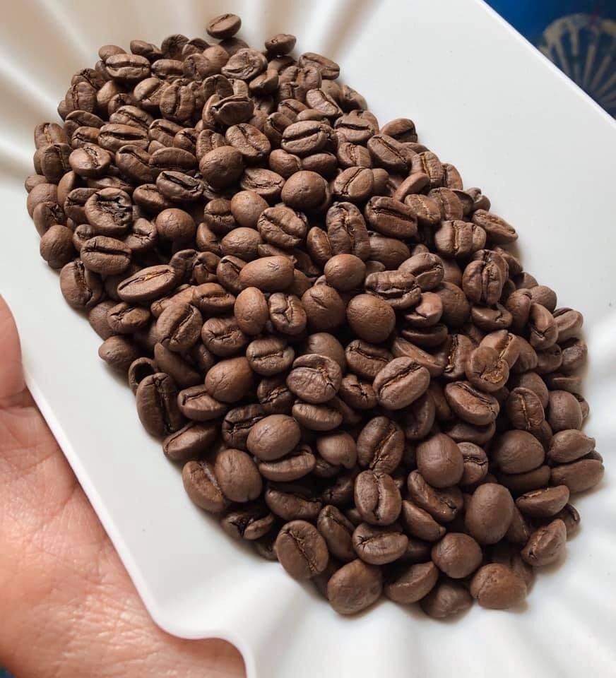 Lv 3 Ninety Plus Gesha Lotus Light Roast Coffee