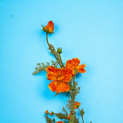 Vibrant Orange Flower Home Decor Artificial Orange Flower Stem