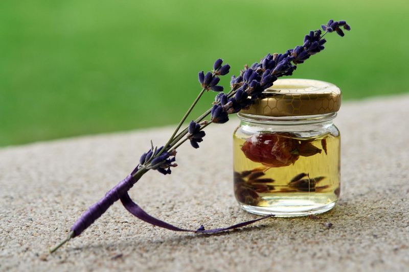 The Wellness Collection