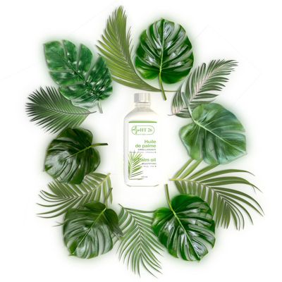 HT26 Paris Palm Tree Oil