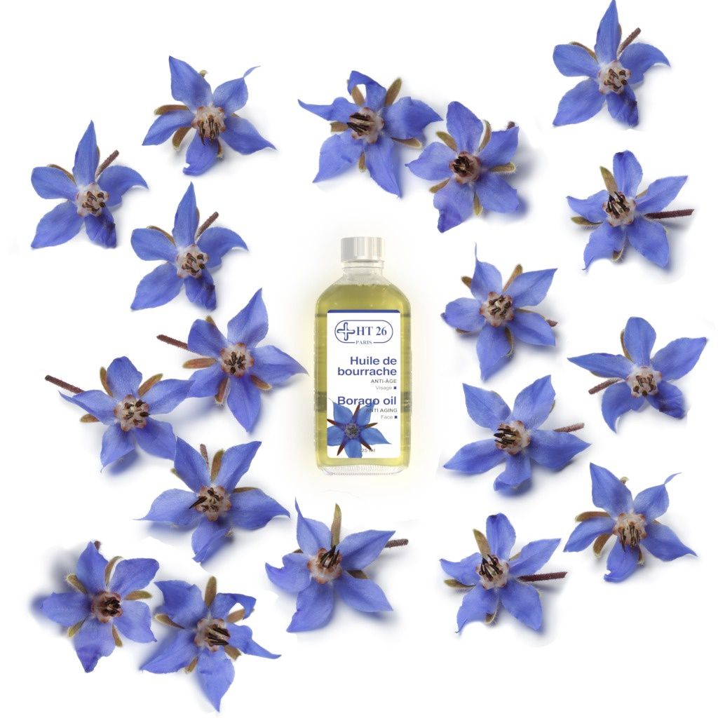HT26 Paris Borago oil