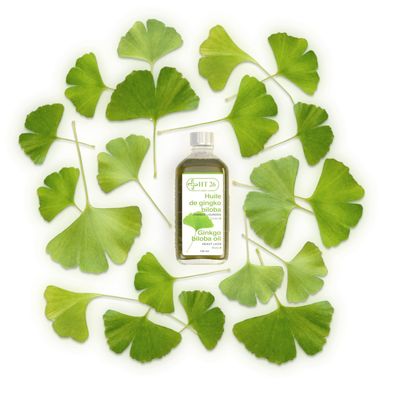 HT26 Paris Ginkgo Biloba Oil