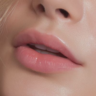 Shea &amp; Cocoa Butter Lip Balm