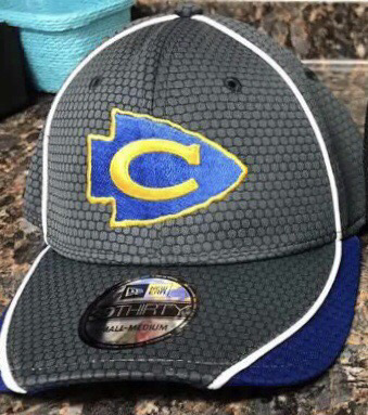 Fitted hat With Embroidery  - blue