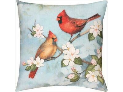 Spring Cardinal 18 Spring Cardinal 18