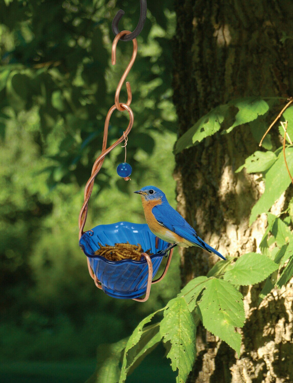 Bluebird Mealworm Feeder