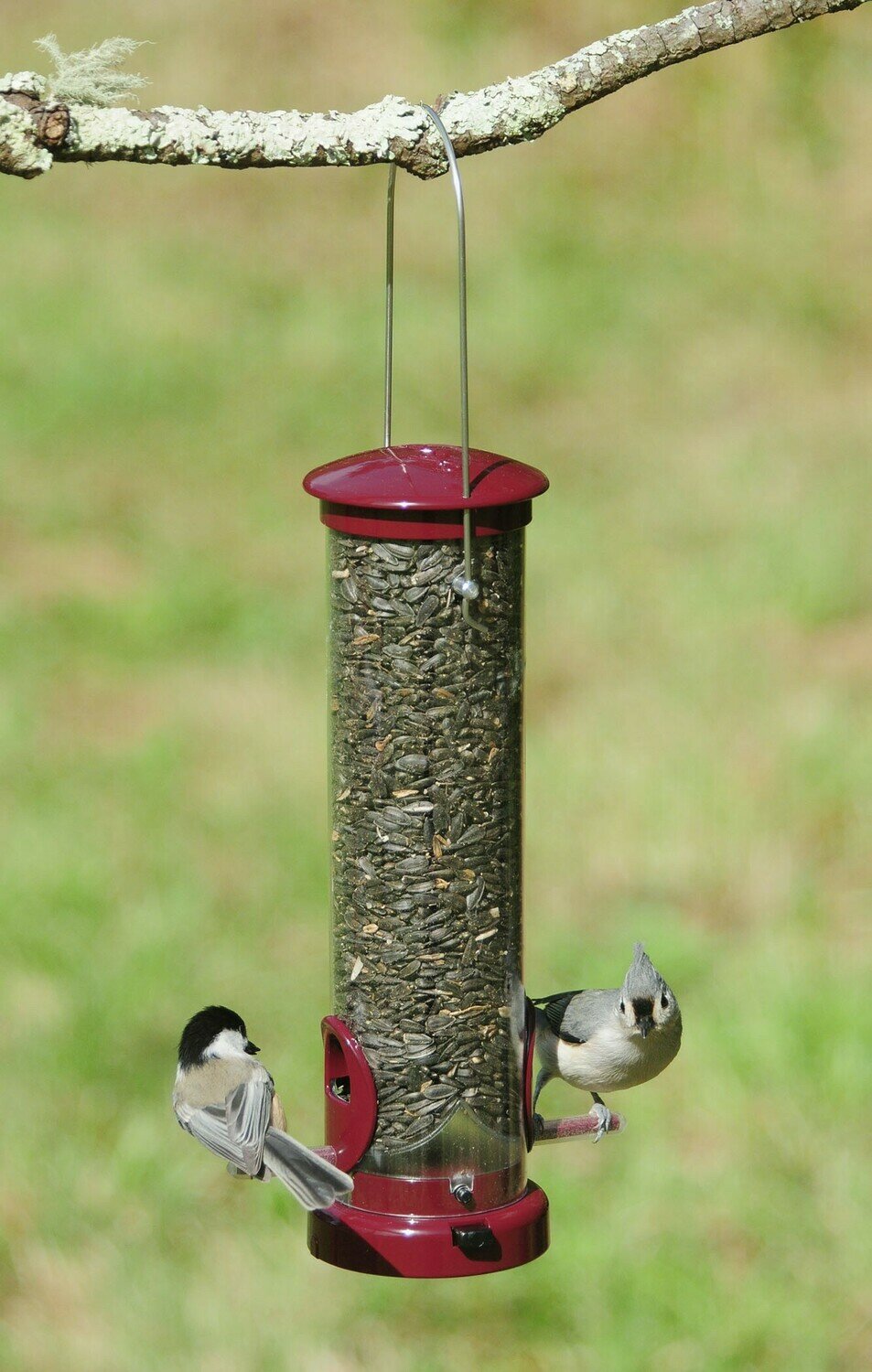 Berry Seed Small Tube Feeder