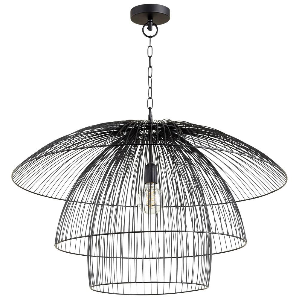 Canopy Matte Black 1 Lt Pendant (DISPLAY ONLY) "ALL SALES FINAL"