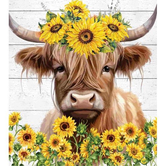 Swedish - Jolie vache