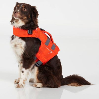 NRS - CFD Dog Life Jacket