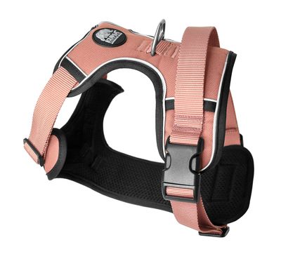 Kuma - Lazy Bear Dog Harness