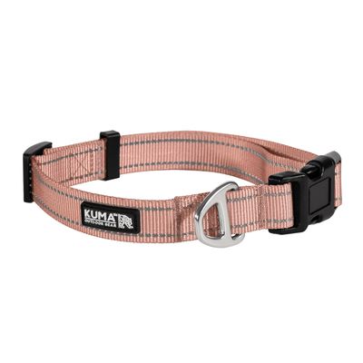 Kuma - Lazy Bear Dog Collar