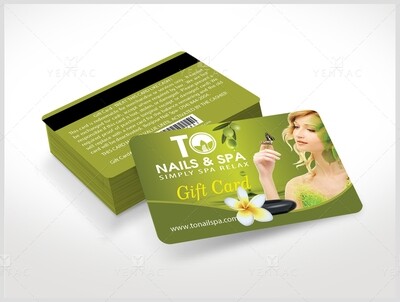Plastic Gift Card template3011