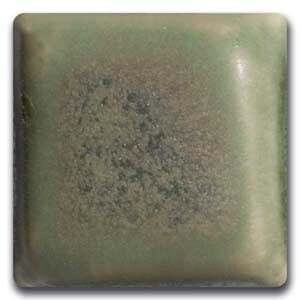 MS -38 - Fern Mist ^5 Dry  (5lbs)
