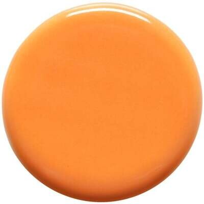 TP-65 - Pumpkin ^06-04 (Pint)