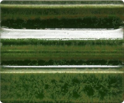Sp957 - Kelp Forest ^06-04 (Pint)