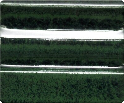 Sp958 - Rainforest ^06-04 (Pint)