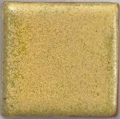 MBG243 - Parakeet Yellow ^4-6 (Pint)