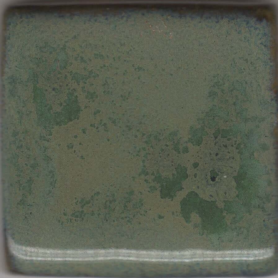 MBG038 - Pam'S Green ^4-6 (Pint)