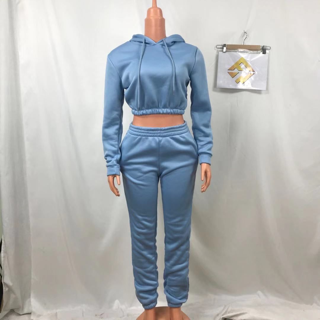 Crop Top Thick Fleece Cotton 2 Two Piece Pants Set Jogging Sweatpants and Hoodie Set