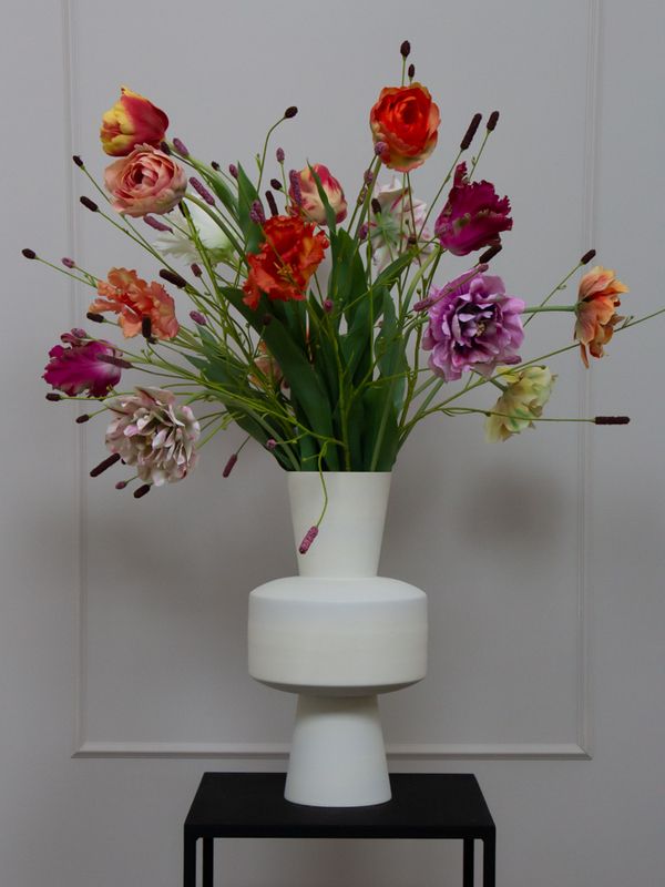 Tulip Pimpernel L
