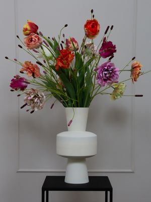Tulip Pimpernel L