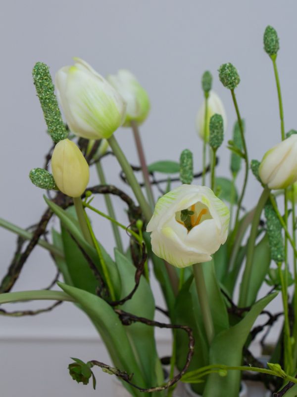 Naturel Tulip XS