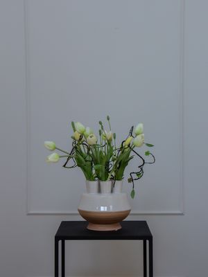 Naturel Tulip XS