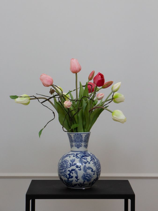 Tulip Dutch Blue XS