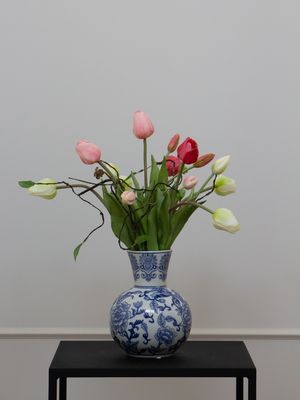 Tulip Dutch Blue XS