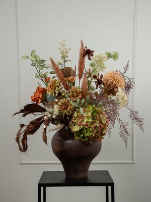 Brown Muse M