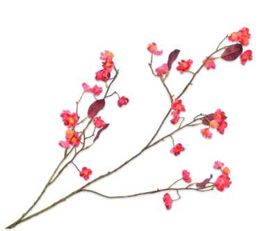 Losse bloemen