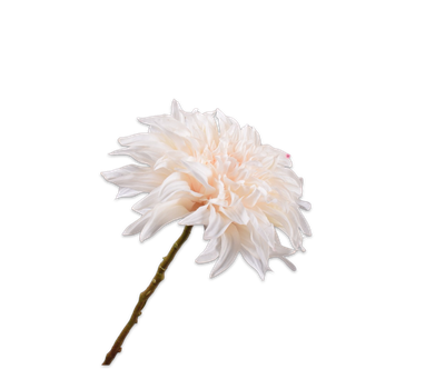 Silk-ka Dahlia steel creme RT 63 cm