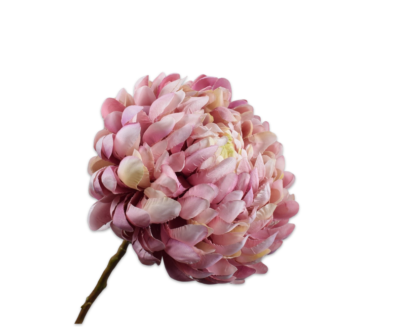 Silk-ka Chrysant tak lavendel/creme 64 cm